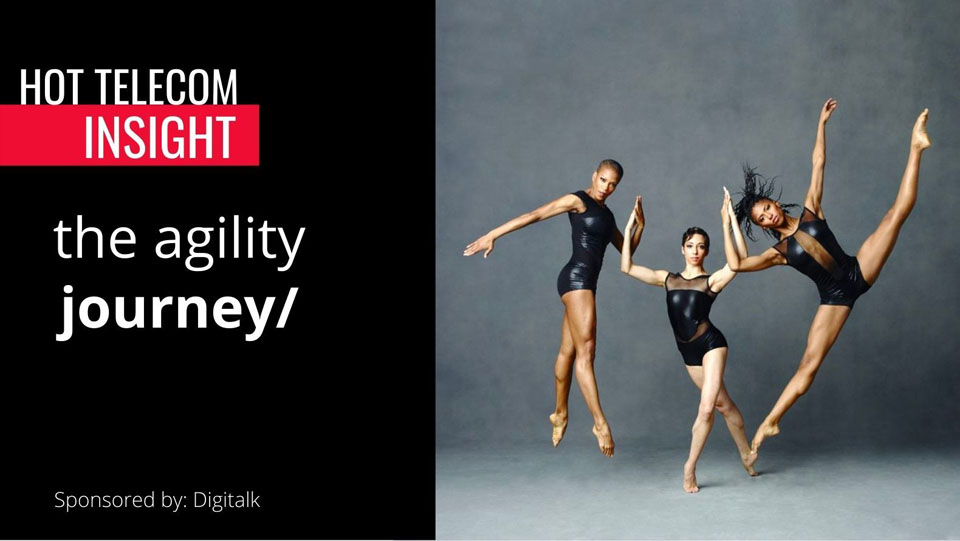 The Agility Journey